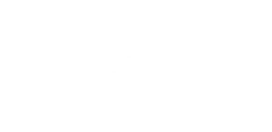 icons 10×1